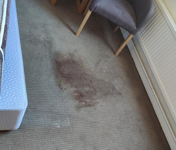 Best Carpet Stain Removal Services in Mornington