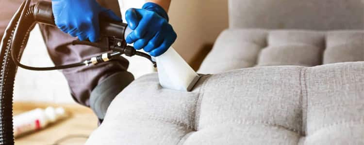 upholstery cleaning mornington